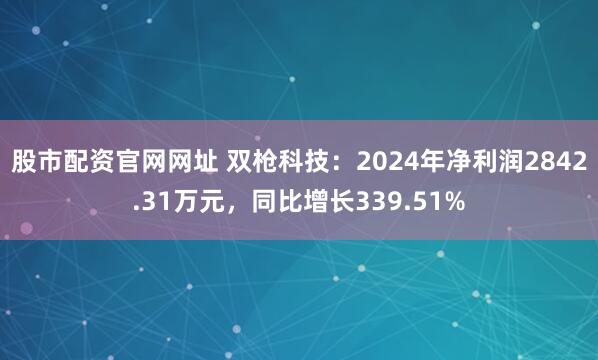 股市配资官网网址 双枪科技：2024年净利润2842.31万元，同比增长339.51%